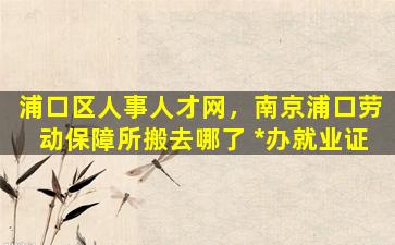 浦口区人事人才网，南京浦口劳动保障所搬去哪了 我要办就业证